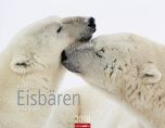 Eisbären 2018 Kalender