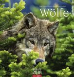 Wölfe 2018 Kalender