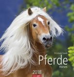 Pferde 2018 Kalender