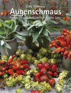 Augenschmaus 2018 Kalender