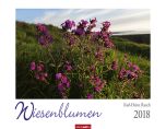 Wiesenblumen 2018 Kalender