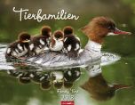 Tierfamilien 2018 Kalender