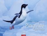 Pinguine auf Reise 2018 Kalender