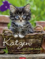 Katzen auf dem Lande 2018 Kalender