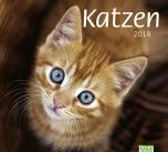 Bildkalender Katzen 2018