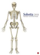 Sobotta Edition Kalender 2018