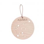 Zodiac Constellation - Aquarius