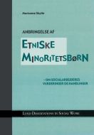 Anbringelse af etniske minoritetsbørn: om socialarbejderes vurderinger og ..