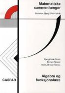 Algebra og funksjonslære