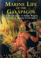 Marine Life of the Galapagos