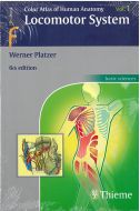 Color Atlas of Human Anatomy