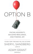 Option B: Facing Adversity, Building Resilience and Finding Joy