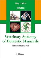 Veterinary Anatomy of Domestic Mammals: Textbooks and Colour Atlas