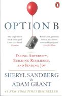 Option B: Facing Adversity, Building Resilience, and Finding Joy