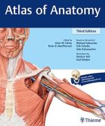 Atlas of Anatomy: Latin Nomenclature