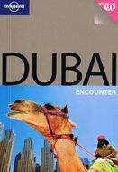 Dubai Encounter