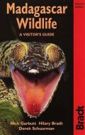 Madagascar Wildlife , A Visitor`s Guide