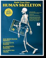 Build Your Own Human Skeleton - Life Size!