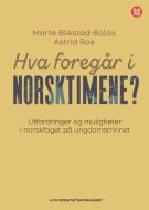 Hva foregår i norsktimene? : utfordringer og muligheter i norskfaget på ungdomstrinnet