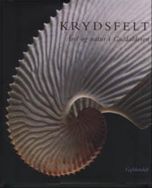 Krydsfelt