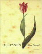 Tulipanen