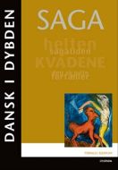 Dansk i dybden - Saga