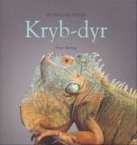 Krybdyr