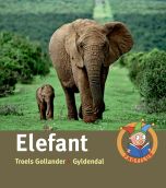 Elefant