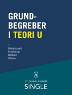 Grundbegreber i Teori U