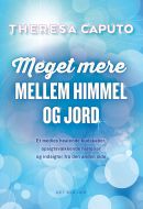 Meget mere mellem himmel og jord