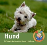 Hund