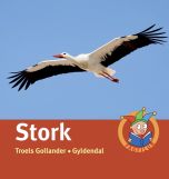 Stork