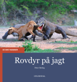 Rovdyr på jagt