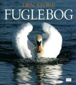 Den store fuglebog