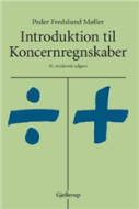 Introduktion til koncernregnskaber