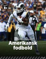 Amerikansk fodbold, Sort Fagklub