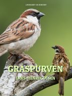 Gråspurven