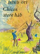 Chicos store håb