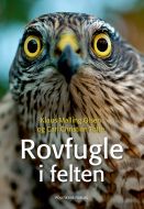 Rovfugle i felten