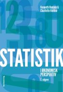 Statistik i økonomisk perspektiv