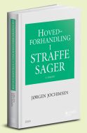 Hovedforhandling i straffesager