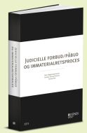 Judicielle forbud/påbud og immaterialretsproces