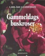 Gammeldags buskroser