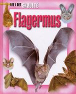 Flagermus