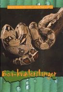 Boa-kvælerslanger