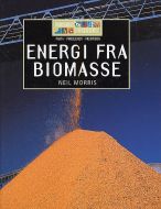 Energi fra biomasse