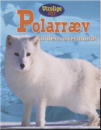 Polarræv