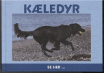 Kæledyr