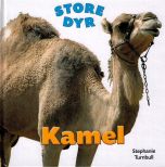 Kamel