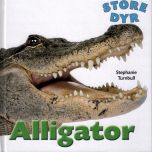 Alligator